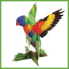 Rainbow Lorikeet Pop-Out